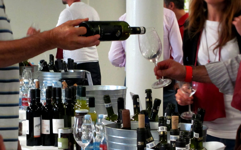 I dieci anni di Terroir Vino