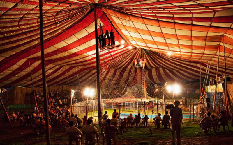 Circumnavigando Festival