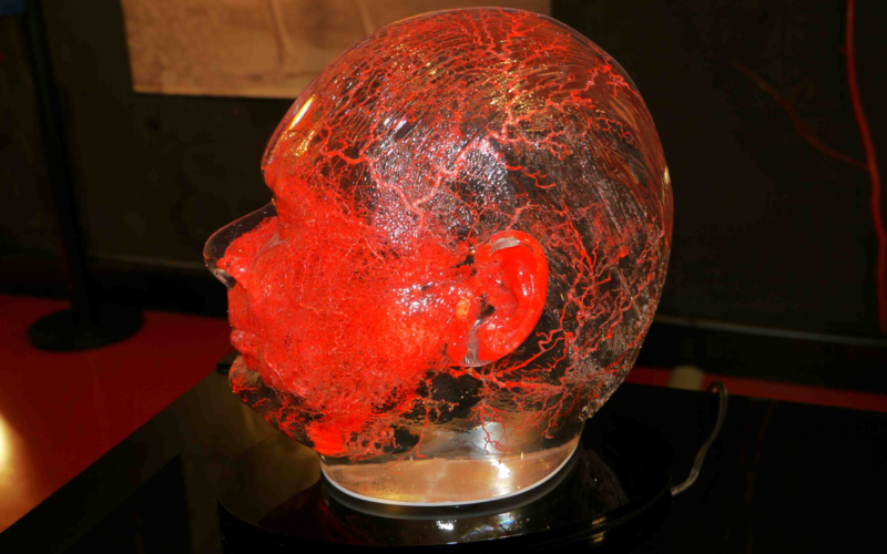 Il vero mondo del corpo umano arriva a Genova