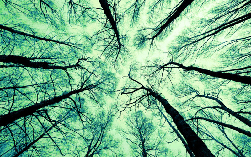 Giorno della Memoria: il racconto di Ariel Dello Strologo