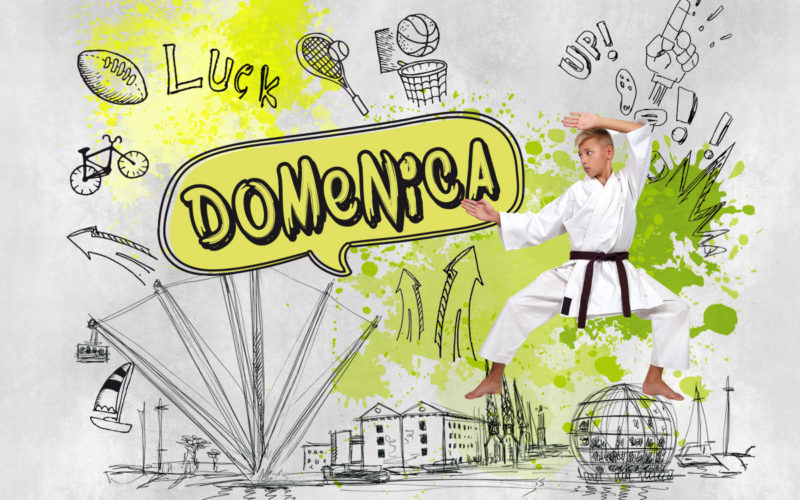 Festa Dello Sport – Domenica 11 Giugno 2017