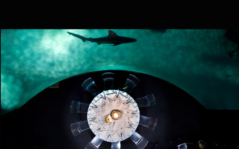 Metti, una Convention a Genova. Parte 3.