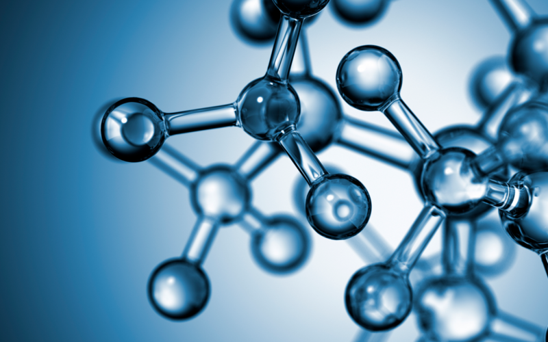 Festival della Scienza 2017 – Contatti