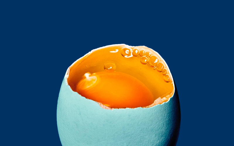 Festival della Scienza 2019: Elementi che uniscono