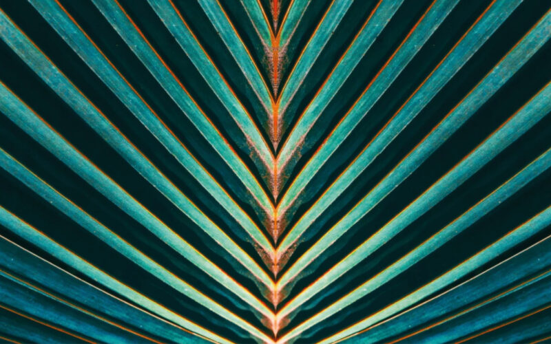 PATROCINIO ENIT PER EUROFLORA 2022