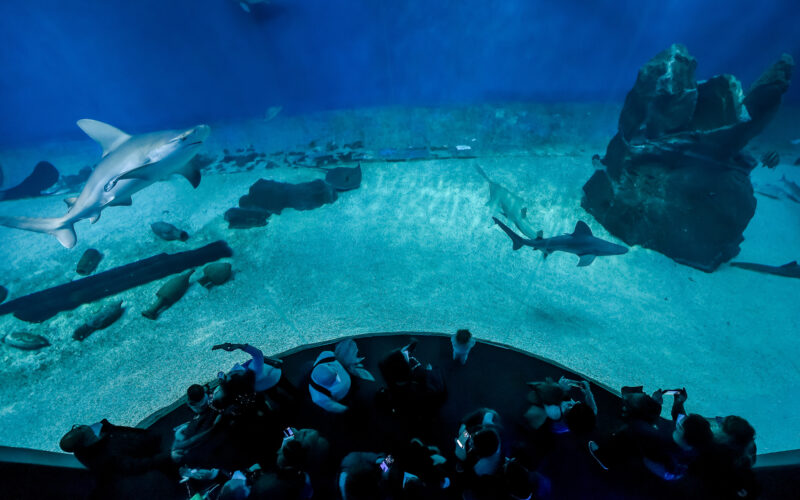 EUROFLORA + ACQUARIO, NASCE IL BIGLIETTO INTEGRATO