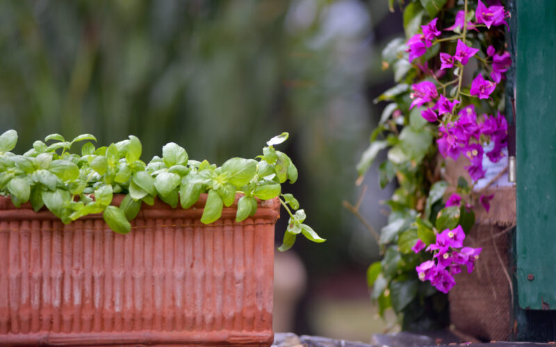 EUROFLORA 2022, I BIGLIETTI E LE PROMOZIONI ATTIVE